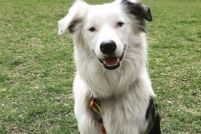 爱游戏入口-丽萨在一天内和919名男性翻云覆雨