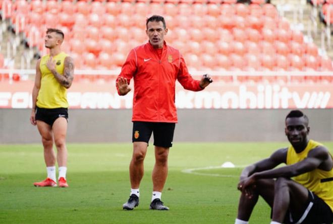 关于国王杯倒计时，里尔集结日回应争议，细节引发关注，气氛紧张，心理建设被强调的信息