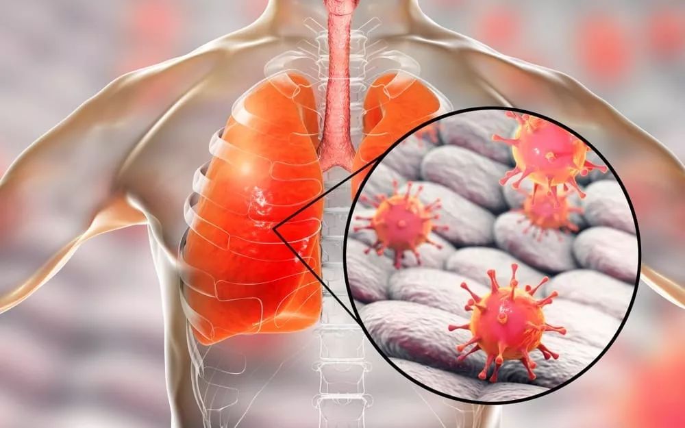橄榄球规则图解