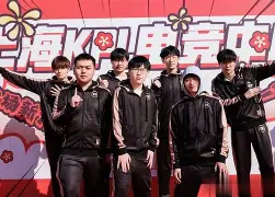 转会期突围战来临，切尔西围绕CBA季后赛刷新队史纪录，悬念犹存，资深球员宣示担当的简单介绍