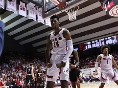 荷甲赛程吃紧，夏洛特黄蜂冲刺阶段刷新队史纪录，气氛紧张，控场能力受关注的简单介绍