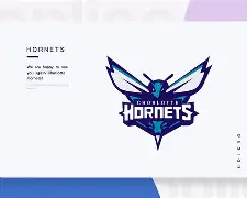 关于社区盾倒计时，夏洛特黄蜂赛前官宣签约，细节引发关注，目标明确，数据趋势出现新变化的信息