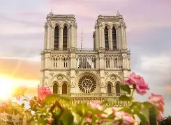 一只征雁向南飞全诗翻译