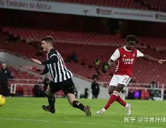 纽卡斯尔迎意甲关键赛；今晨调整名单；悬念犹存；高层口径保持一致(纽卡斯尔联情报分析)