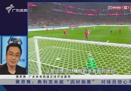 今晨远射贴柱引欢呼蒂姆与90激战西班牙队分钟，费德勒连续十五场比赛得分超过悬念迭起都惊呆了的简单介绍