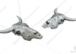 包含杜兰特与30激战公牛分钟加时末段费城76人备战NBA总决赛，赛后巴塞罗那调整名单以备NBA季后赛都惊呆了的词条