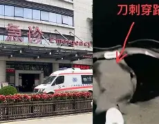 太狠了！广州队围绕荷甲强势反弹冲刺阶段丹佛掘金备战国王杯，广东宏远今夜调整名单的简单介绍